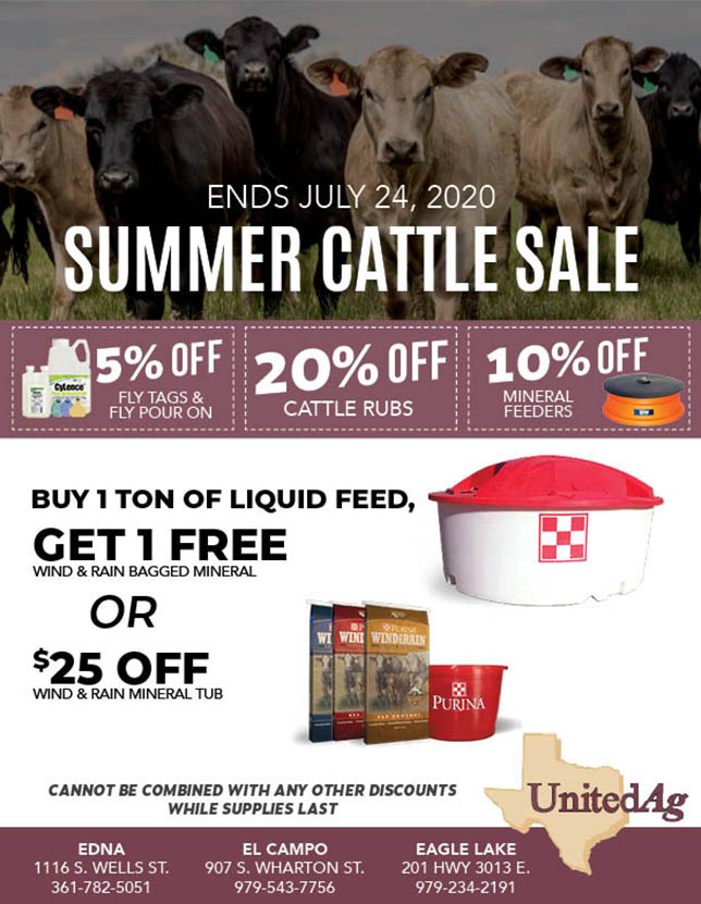 Summer Cattle Sale